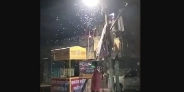 viral ribuan cacing jatuh dari langit di india o