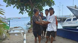 Pingsan Usai Berenang, Wisatawan Asal Jogja Meninggal di Lombok Utara